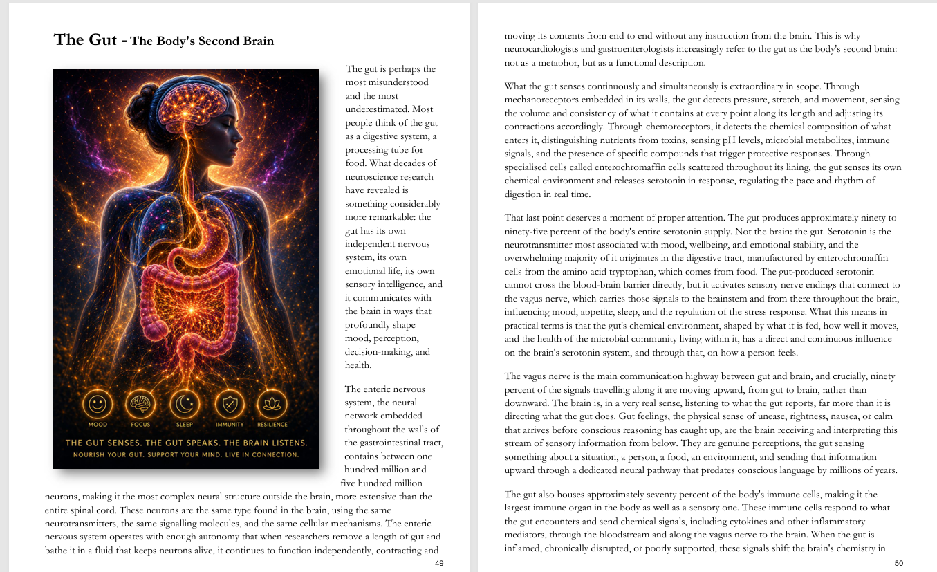 Experience Healing with Nature sample pages 8