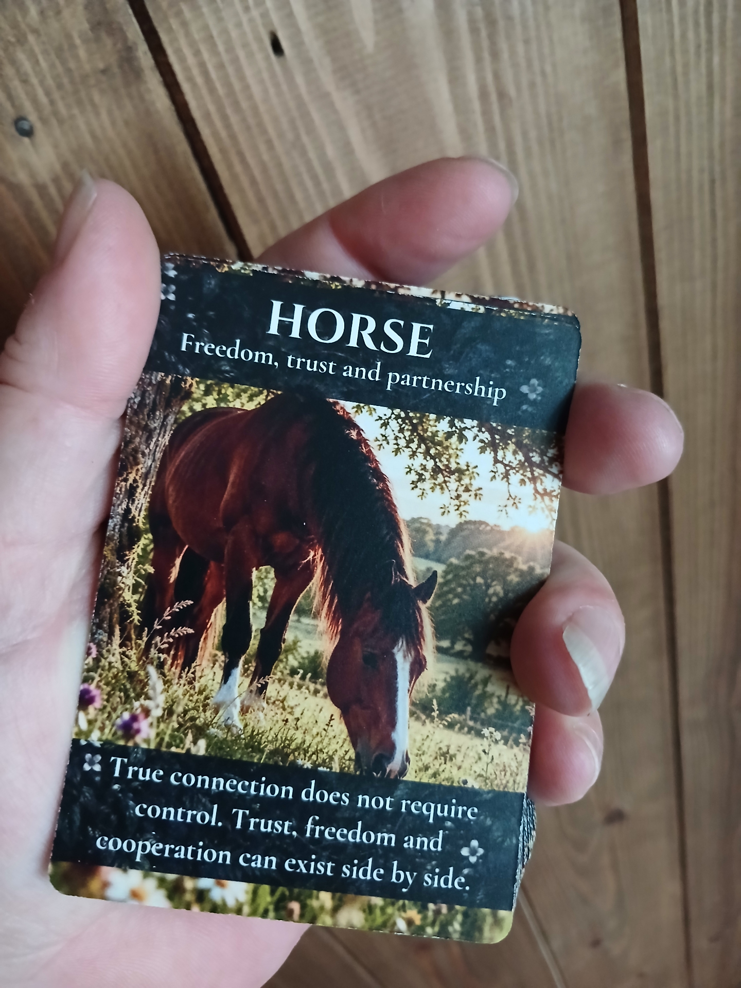 Animal Wisdom card deck sample 2
