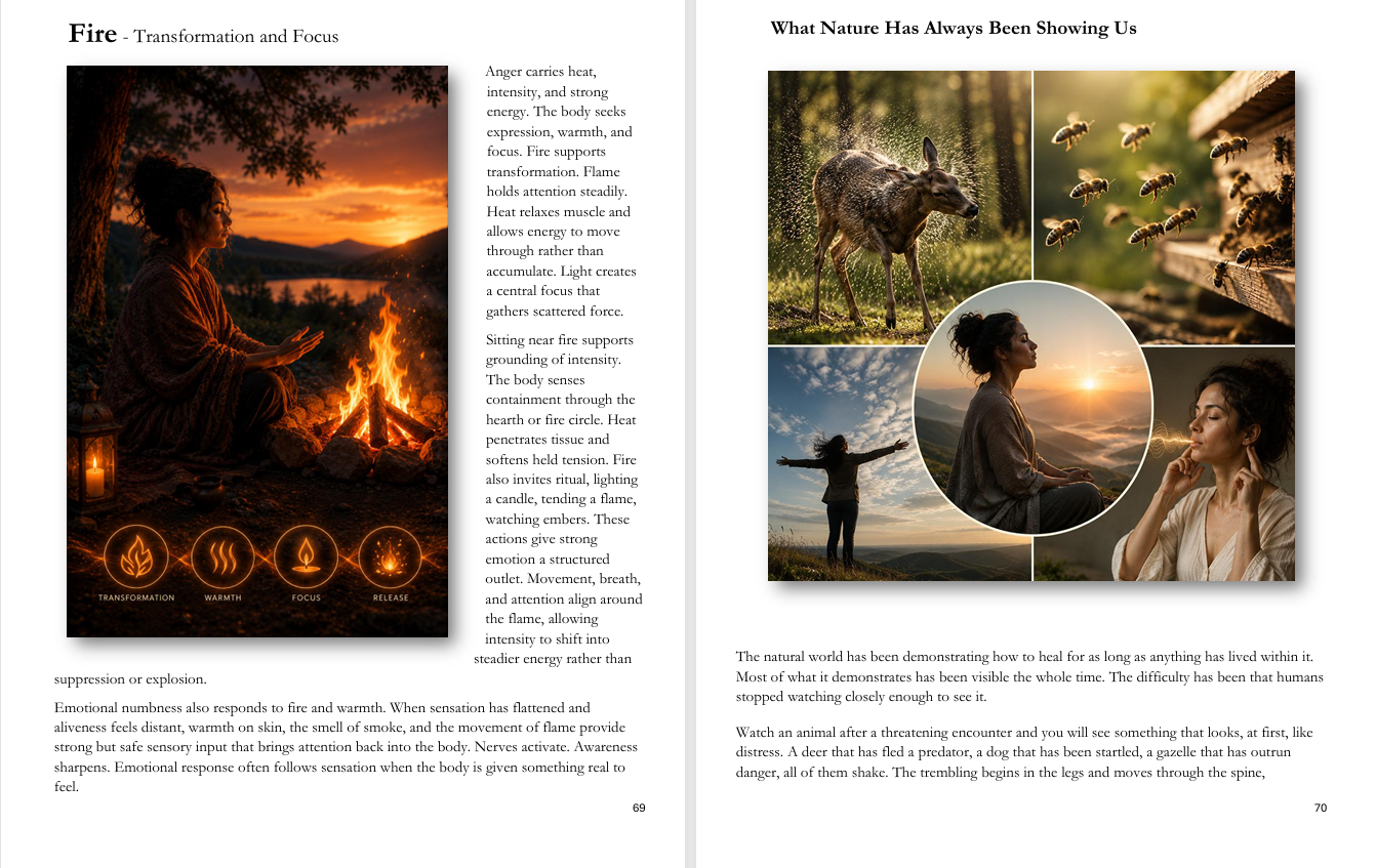 Experience Healing with Nature sample pages 9