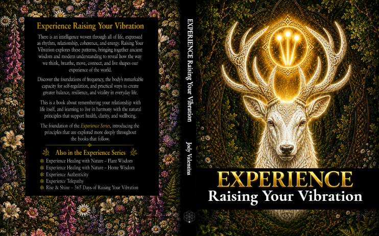 Experience Raising Your Vibration cover