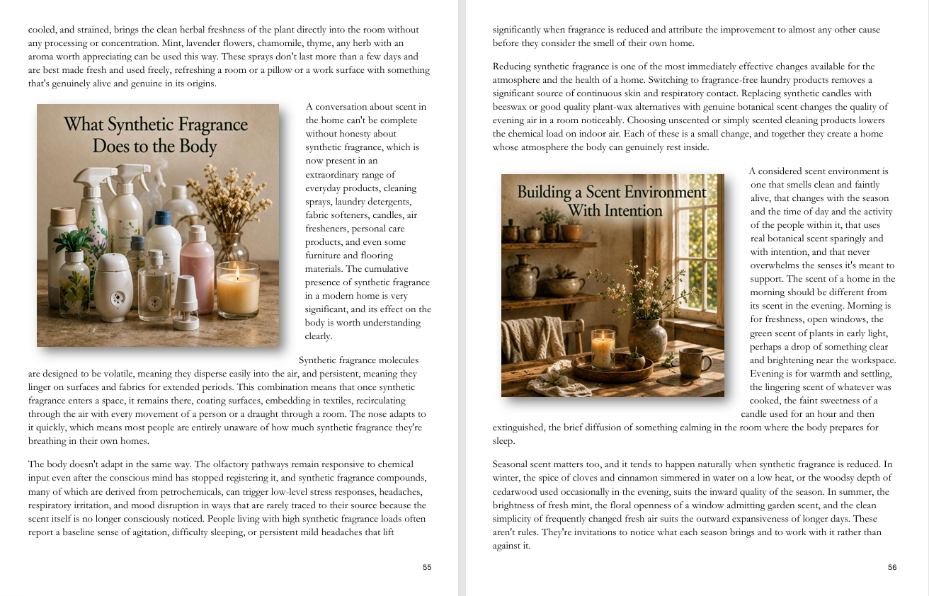 Experience Healing with Nature sample pages 5