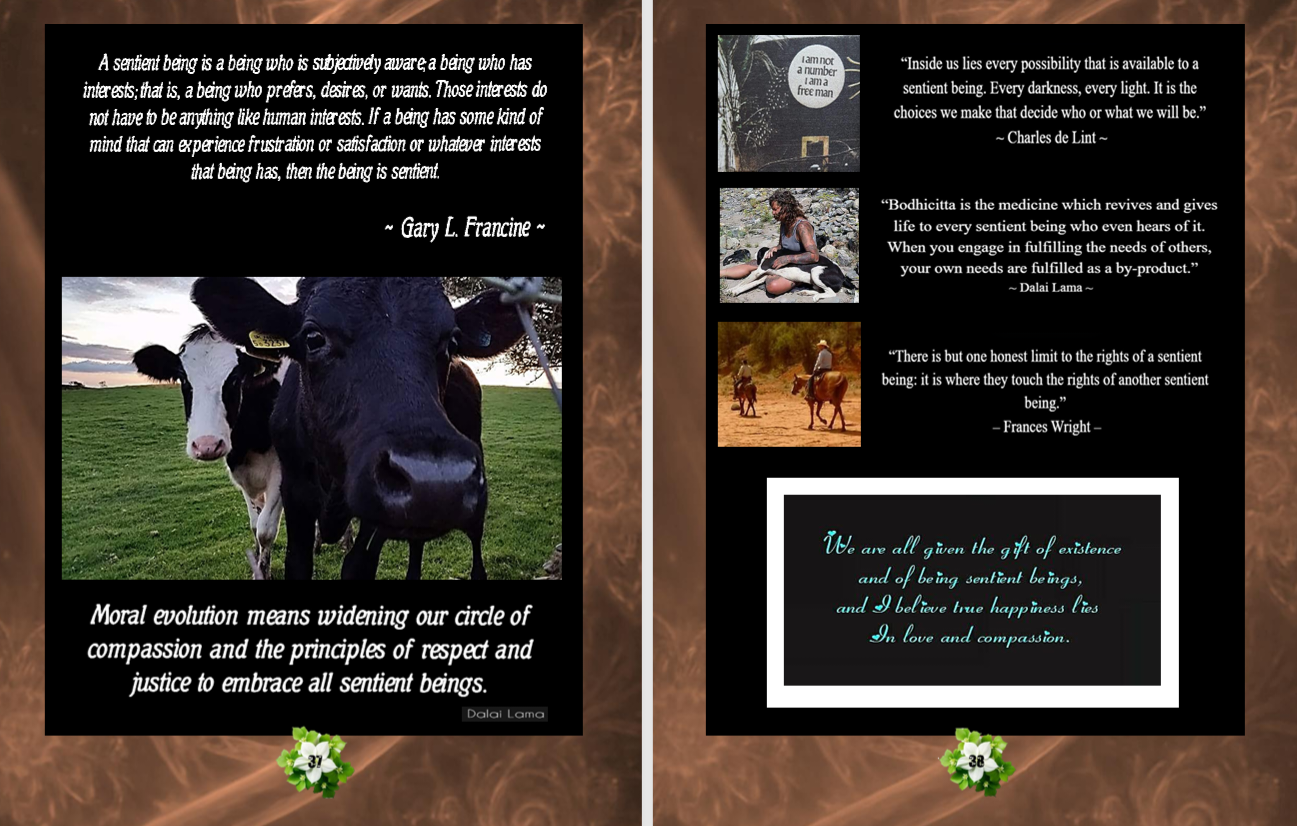 Experience Raising Your Vibration sample pages 4