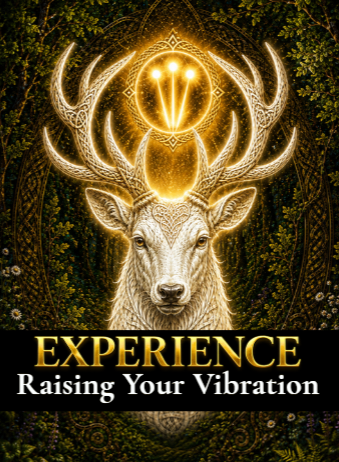 Experience Raising Your Vibration book cover by Jody Valentina