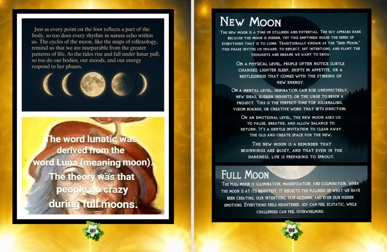 Experience Raising Your Vibration sample pages 8