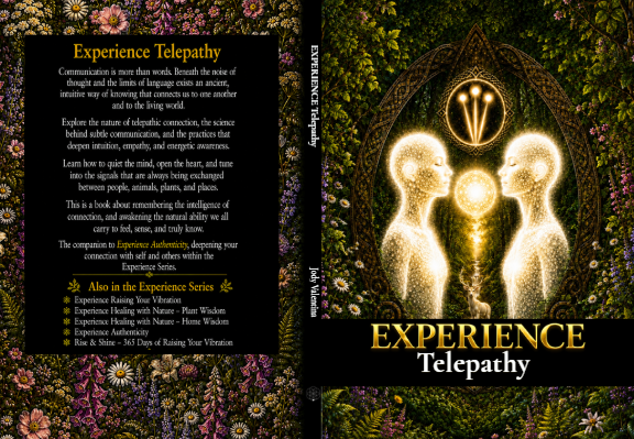 Experience Telepathy cover