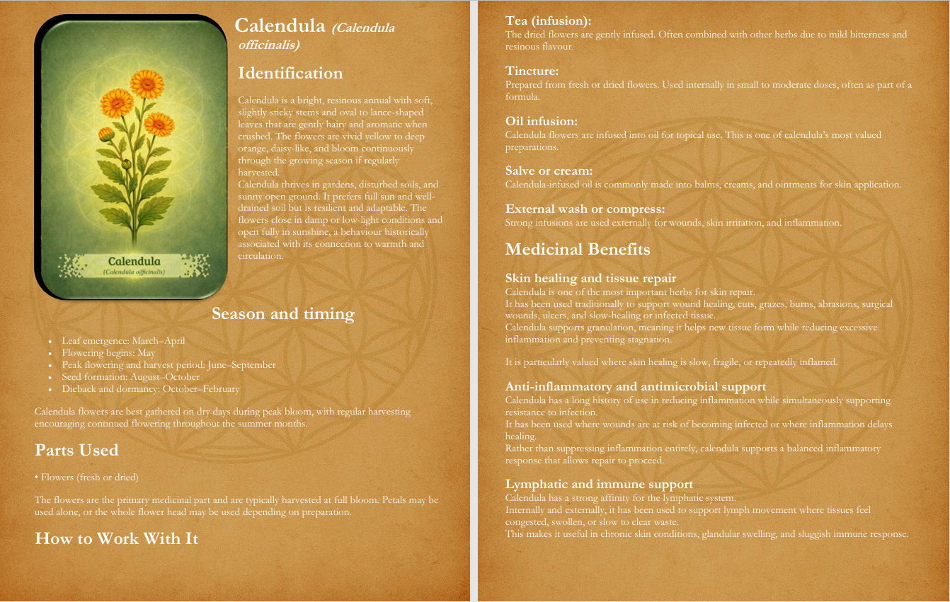 Experience Healing with Nature sample pages 1