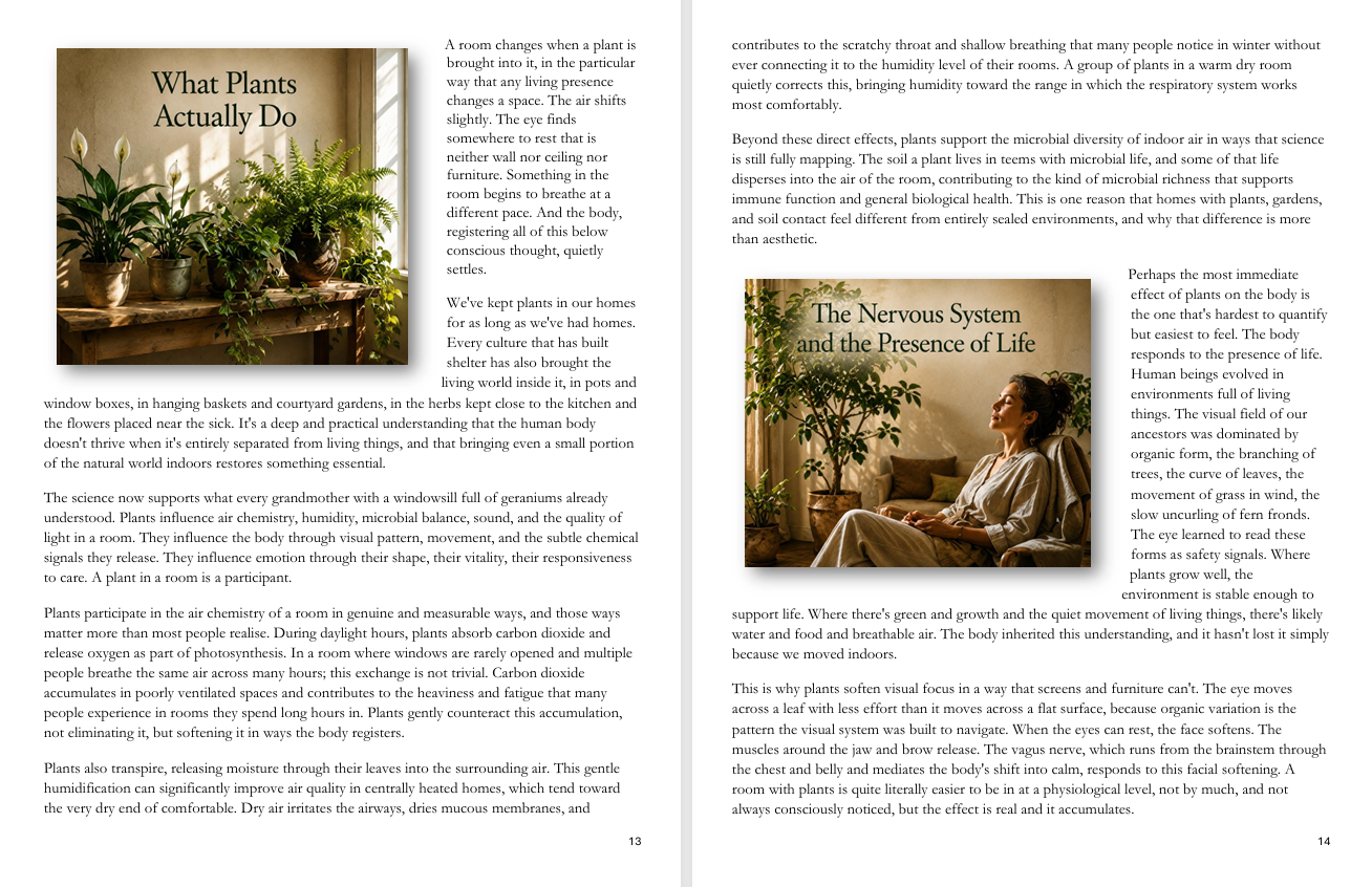 Experience Healing with Nature sample pages 1