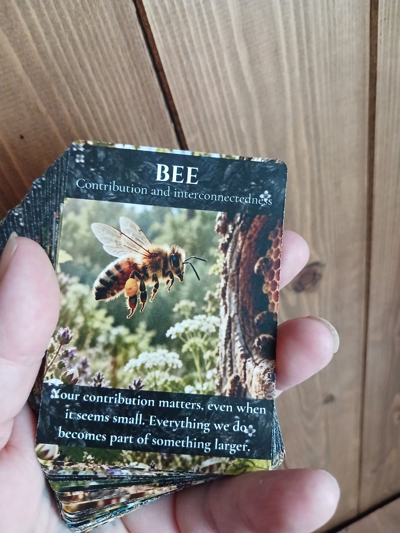 Animal Wisdom card deck sample 5