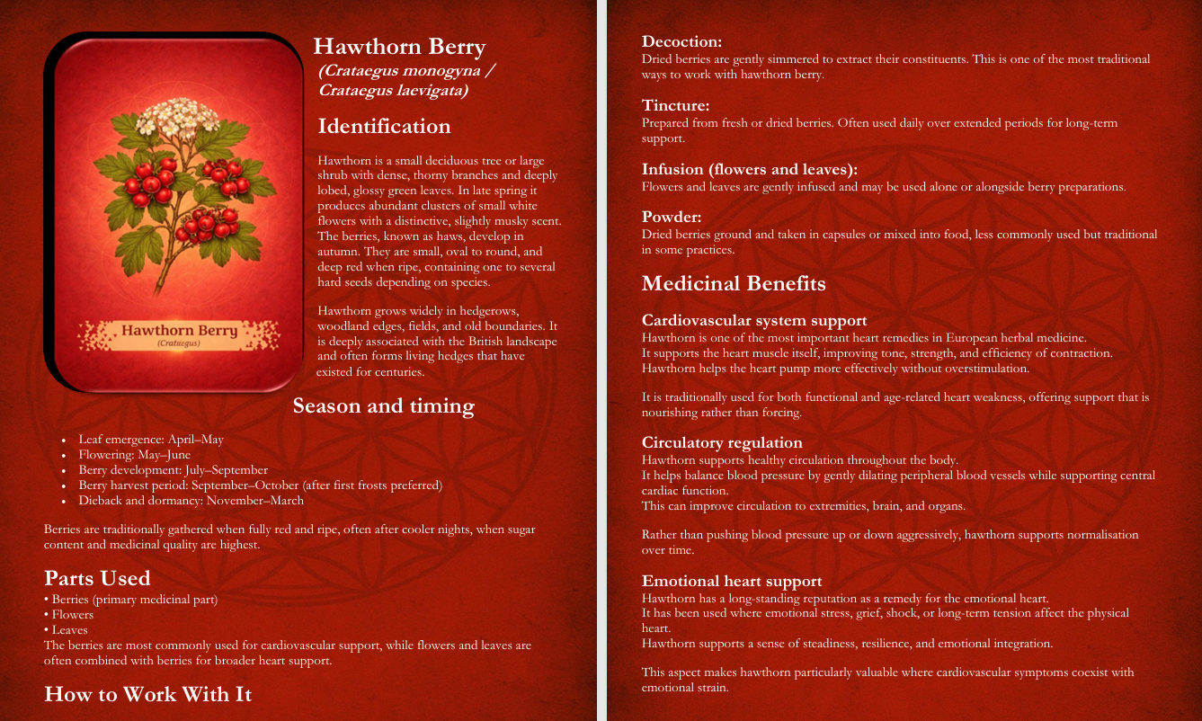 Experience Healing with Nature sample pages 3