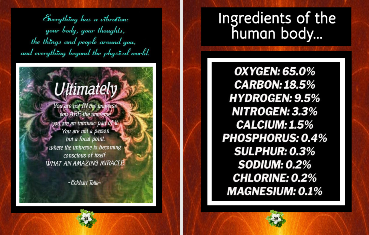 Experience Raising Your Vibration sample pages 3