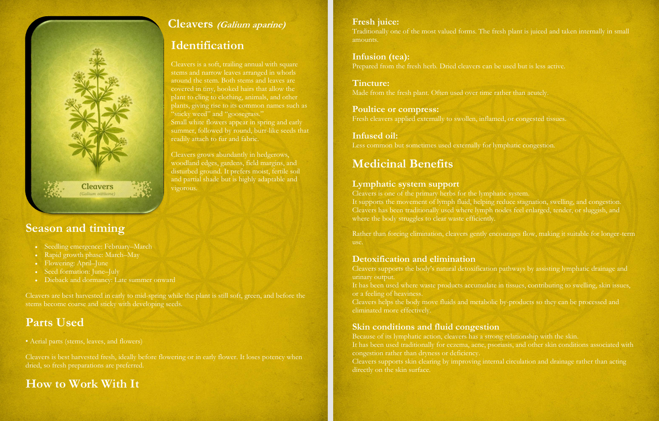 Experience Healing with Nature sample pages 2
