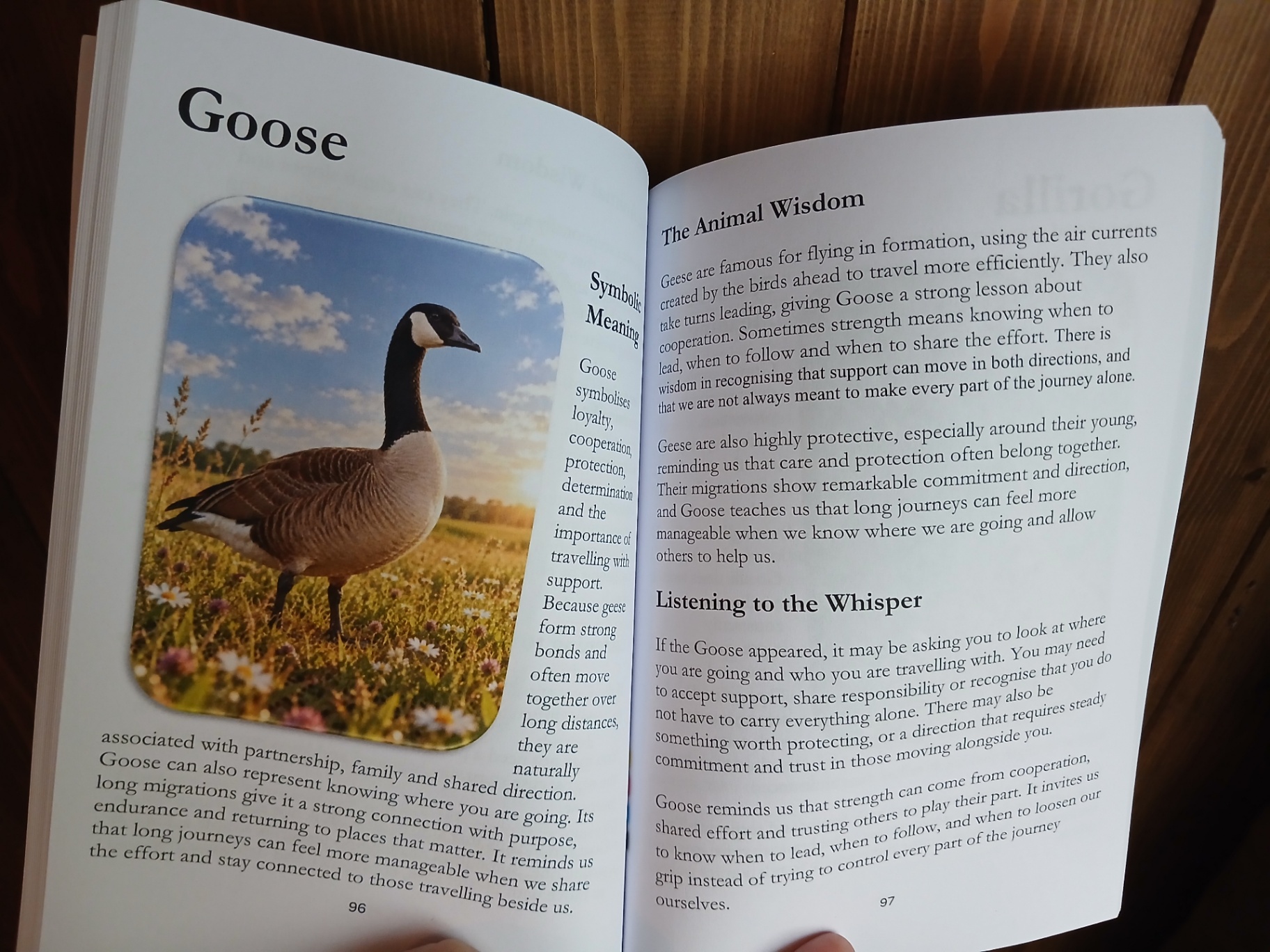 Experience Animal Wisdom sample 2